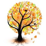 10439965-arbre-automne-colore-isolee-sur-fond-blanc